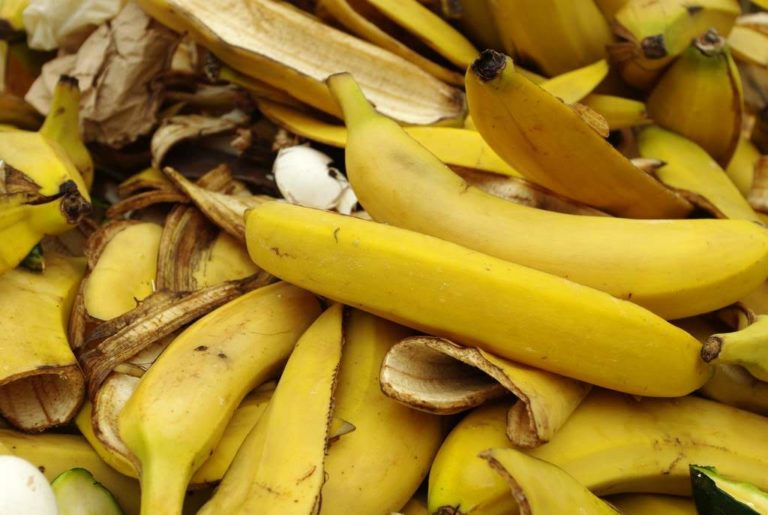 Using Banana Peels in the Garden for Fertilizer and Pests organic